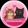 felinebabies